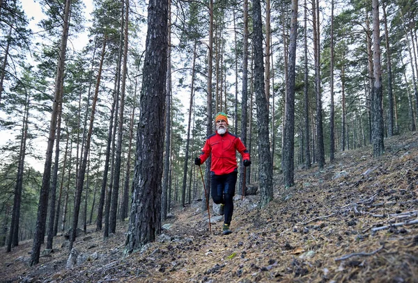 Uomo Barbuto Camicia Rossa Che Corre Vicino Lago Autunno Trail — Foto Stock