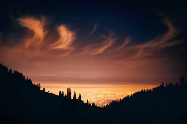 Glowing City Lights Night Sky Stars Silhouettes Pine Tree Mountain — Stock Photo, Image