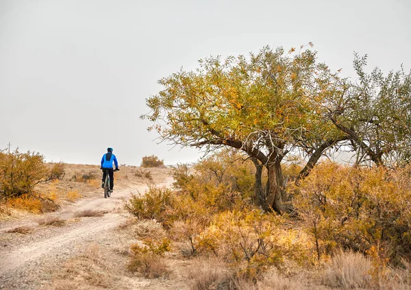 Hombre Bicicleta Montaña Paseos Carretera Cerca Árbol Amarillo Desierto — Foto de Stock