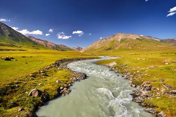 Rzeki Górskie Dolinie Góry Niebieski Niebo Kirgistanie — Zdjęcie stockowe