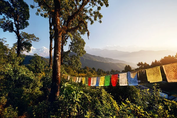 Banderas Oración Tibetanas Selvas Tropicales Lung Caminata Del Mardi Himal — Foto de Stock