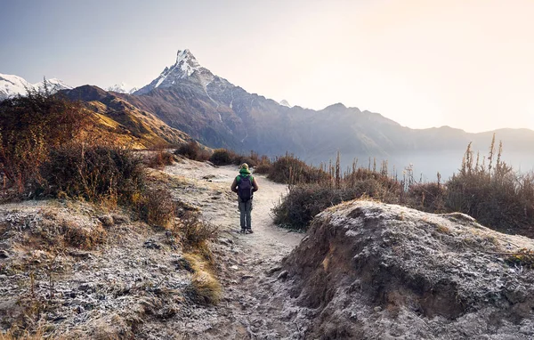 游客与背包享受雪高山马查普奇在尼泊尔的雪高山景观 — 图库照片