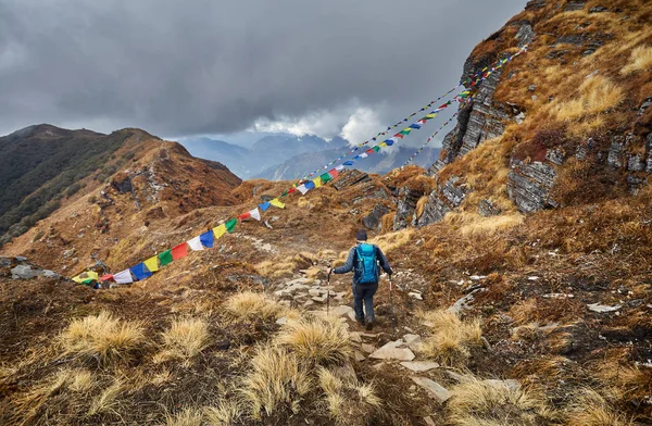 Uomo Con Zaino Sulle Tracce Del Mardi Himal Treck Delle — Foto Stock