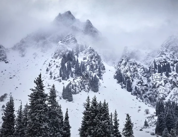 Hohe Berge Mit Schnee Und Kiefern Auf Den Gipfeln Zur — Stockfoto