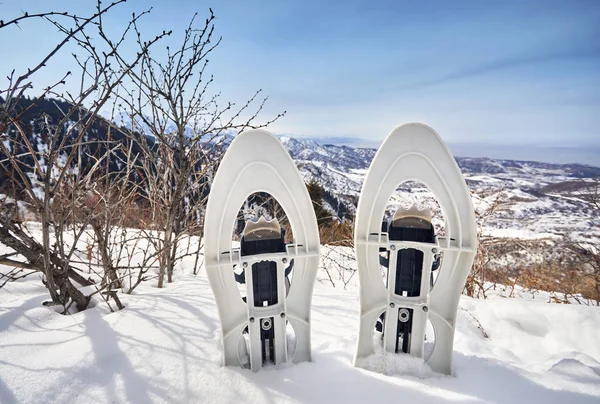 雪鞋在雪在山顶对蓝天的山顶 — 图库照片