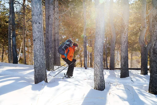 Hombre Chaqueta Naranja Esquiando Sobre Nieve Fresca Polvo Bosque Invierno —  Fotos de Stock