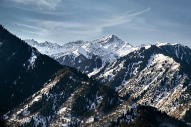 Kar, çam ağaçları ve tepe Kazakistan mavi gökyüzünde kış zaman karşı yüksek dağlar