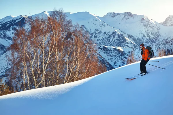 Hombre Esquiando Sobre Nieve Fresca Polvo Bosque Las Montañas Tien — Foto de Stock