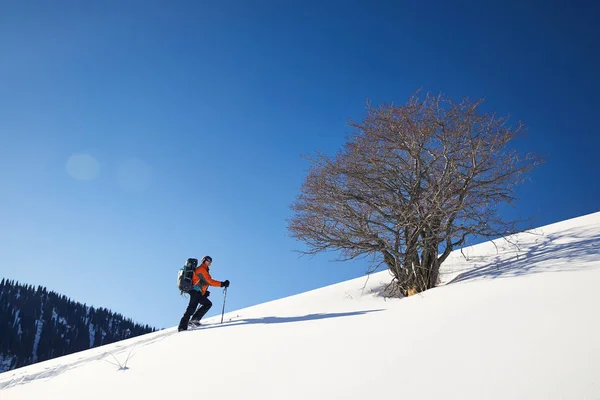 Hombre Esquiando Polvo Fresco Nieve Cerca Árbol Solitario Contra Cielo — Foto de Stock