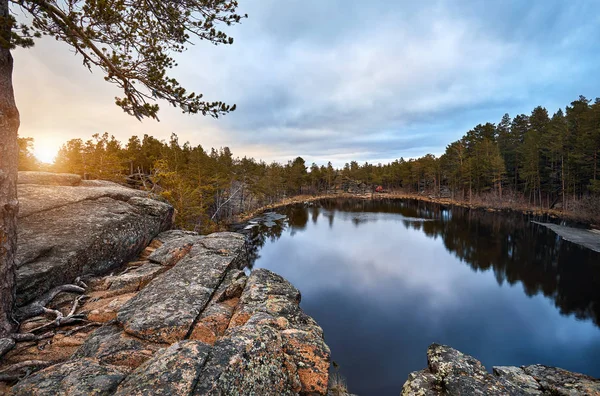 Vacker Utsikt Över Pinjeträden Vid Sjön Saytankol Skogen Karkaraly Nationalpark — Stockfoto