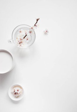 Beyaz çiçekler Zen minimalist beyaz 