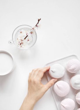 Düz beyaz arka planda Zephyr ve çiçekler