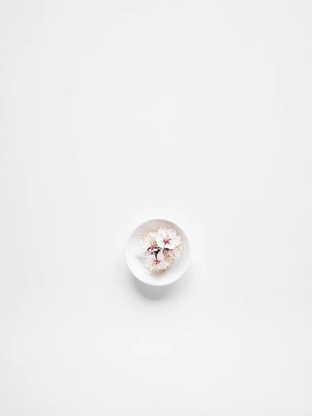 Fiori bianchi zen minimalista su bianco — Foto Stock