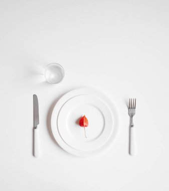 Minimalizm plaka üzerinde küçük Berry