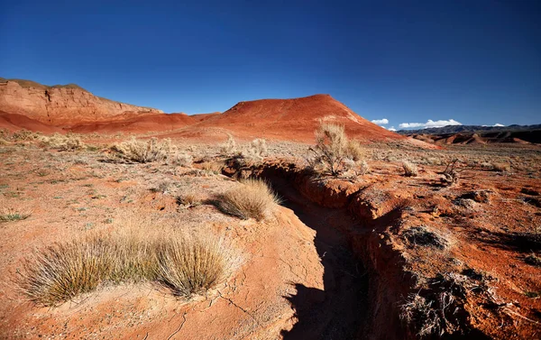 Kırmızı çöl manzarası — Stok fotoğraf