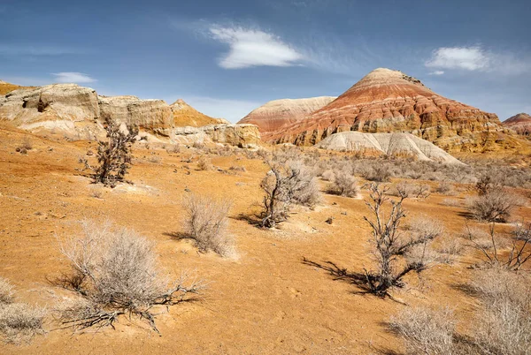 Красивий пейзаж пустелі — стокове фото