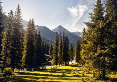 Kırgızistan Dağları