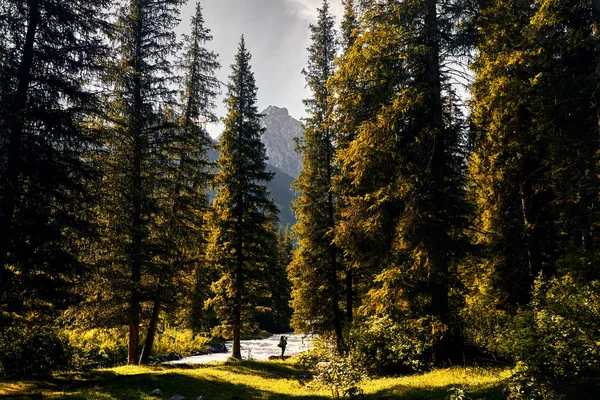 Wanderer in den Bergen — Stockfoto