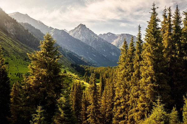 Mountain valley in Kyrgyzstan — Stock Photo, Image