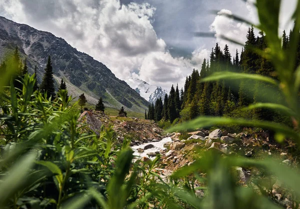 Gebirgstal in Kasachstan — Stockfoto