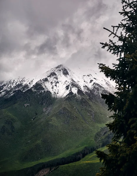 Bellissimo paesaggio di montagne — Foto Stock