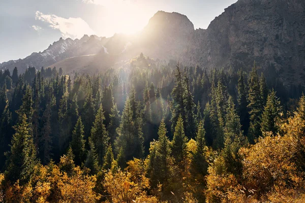 Landskapet i vackra berg — Stockfoto