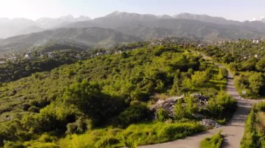 Dağ ormanlarında bisiklet sürüyor.