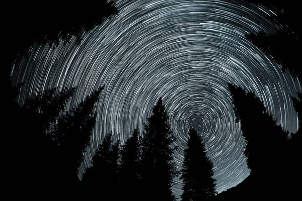 Crile Estrelas Traço Céu Noturno Com Silhueta Abeto Nas Montanhas — Fotografia de Stock