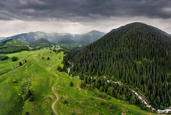 Αεροφωτογραφία Της Ορεινής Κοιλάδας Καταπράσινο Δάσος Φωτογραφία Drone — Φωτογραφία Αρχείου