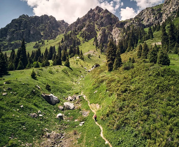 Pequeño Turista Con Mochila Está Caminando Verde Valle Montaña Con — Foto de Stock