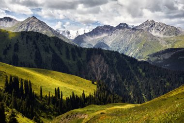 Kazakistan 'da yemyeşil ormanı ve karlı zirvesi olan dağ vadisinin havadan görünüşü