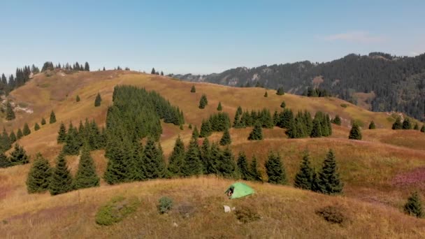 Tenda da campeggio verde nella foresta montana — Video Stock