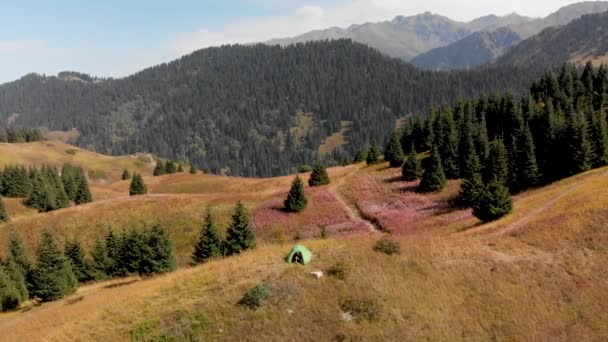 山林中的绿色露营帐篷 — 图库视频影像
