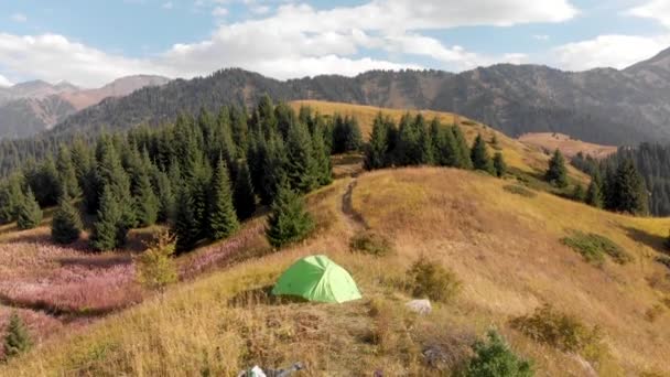 Zielony namiot kempingowy w lesie górskim — Wideo stockowe