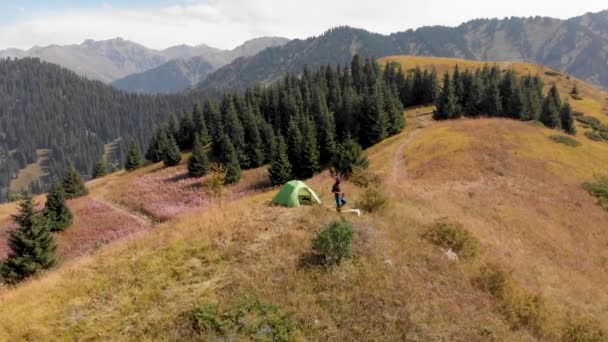 Turysta w pobliżu zielonego namiotu kempingowego w lesie górskim — Wideo stockowe