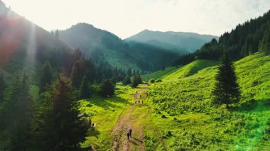 Dağların yeşil tepelerinin güzel insansız hava aracı manzarası. Ladin ormanı ve kar Almaty, Kazakistan 'da zirveye çıkıyor.