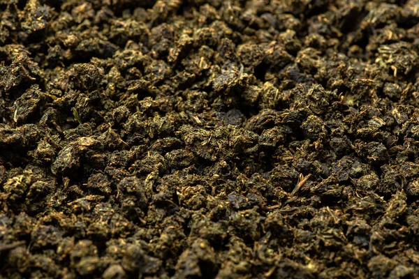 Séchage et fermentation du saule à thé — Photo