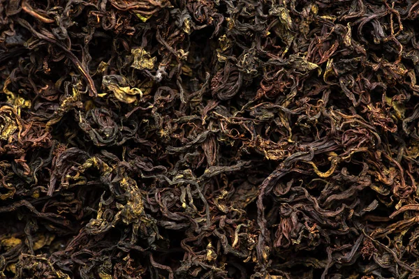 Szárítás és erjesztés, a tea fűzfa — Stock Fotó