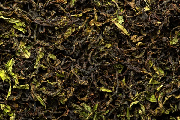 Szárítás és erjesztés, a tea fűzfa — Stock Fotó