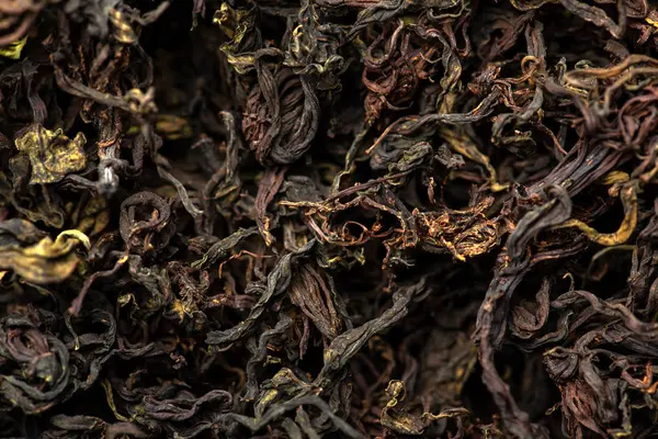 Trocknung und Fermentation von Teeweiden — Stockfoto