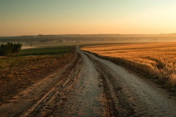 Silnice u žitného pole v sunrise. — Stock fotografie