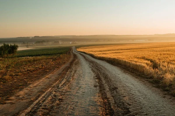 Silnice u žitného pole v sunrise. — Stock fotografie