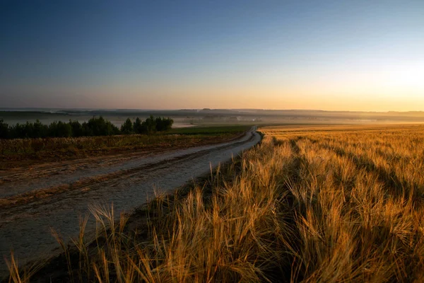 Weg in de buurt van rogge veld bij zonsopgang — Stockfoto