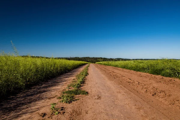 Onverharde weg en landschap platteland. — Stockfoto