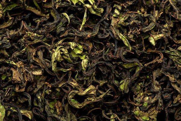 Séchage et fermentation du saule à thé — Photo