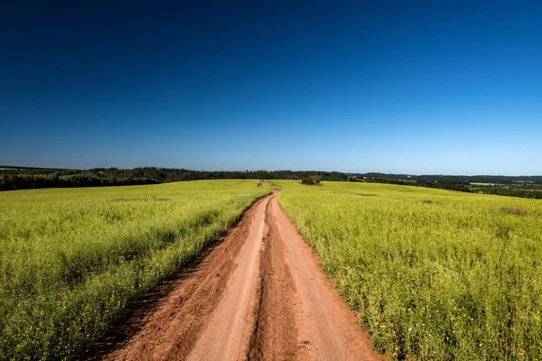 Onverharde weg en landschap platteland. — Stockfoto