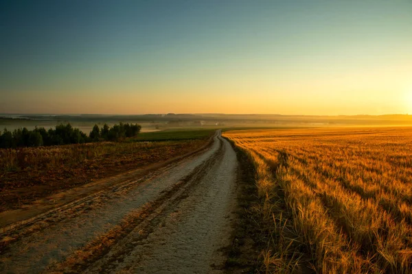 Strada vicino al campo di segale all'alba — Foto Stock