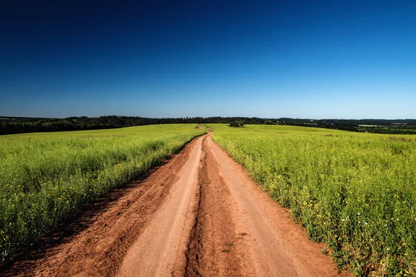 Dirt road and landscape countryside. — Stock Photo, Image