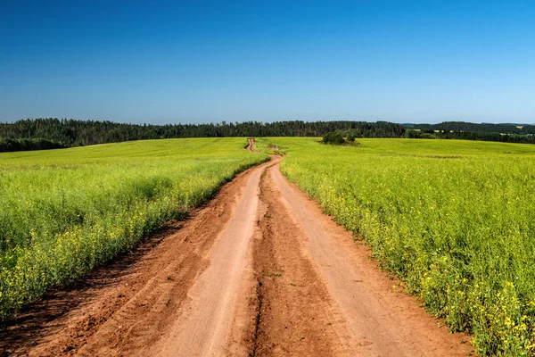 Onverharde weg en landschap platteland. — Stockfoto