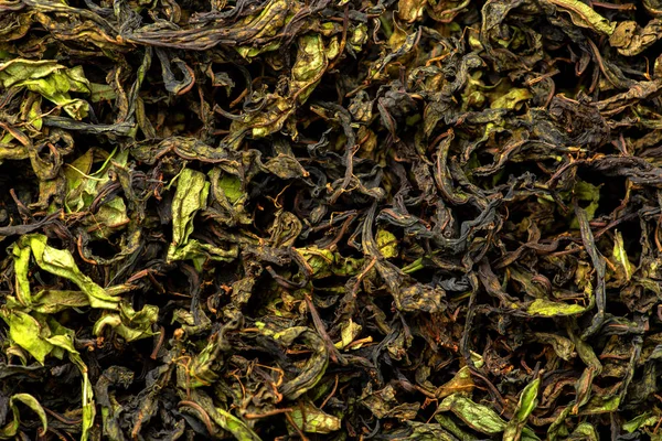 Szárítás és erjesztés, a tea fűzfa — Stock Fotó